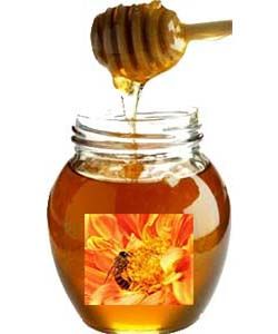 Mel Joaninho Laranjeira - Orange Blossom Honey 250g