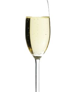 CC e CP Pinot Noir Brut White Sparkling Wine 2004 - 750ml